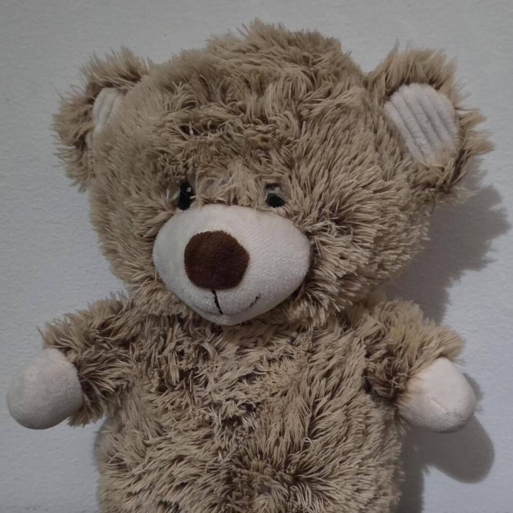 Tan and brown teddy bear plush toy with rattle inside #teddybear #plush